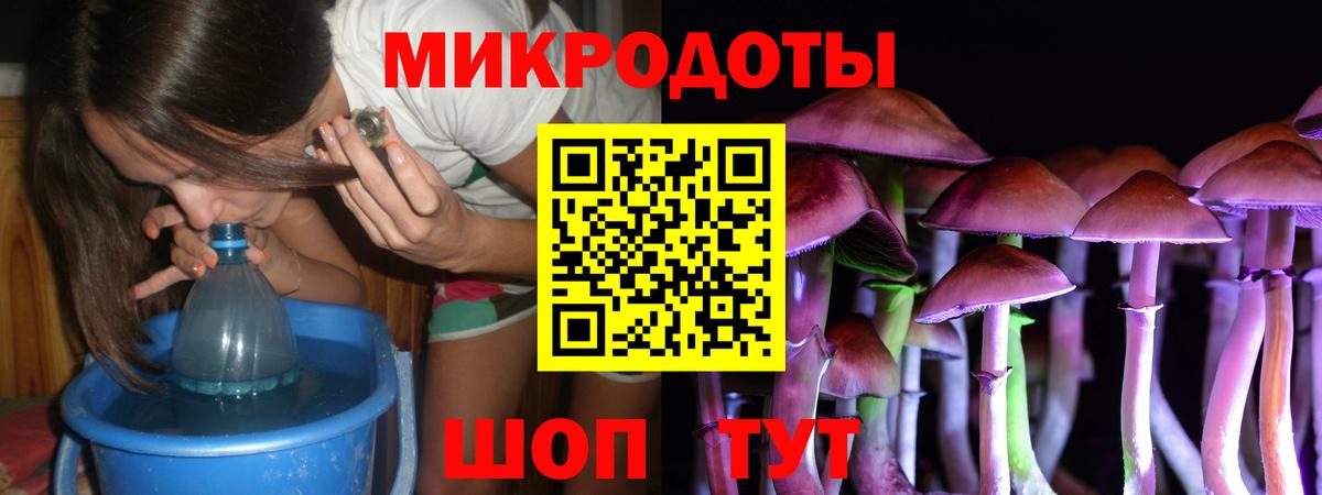 Галлюциногенные грибы мухоморы Зима
