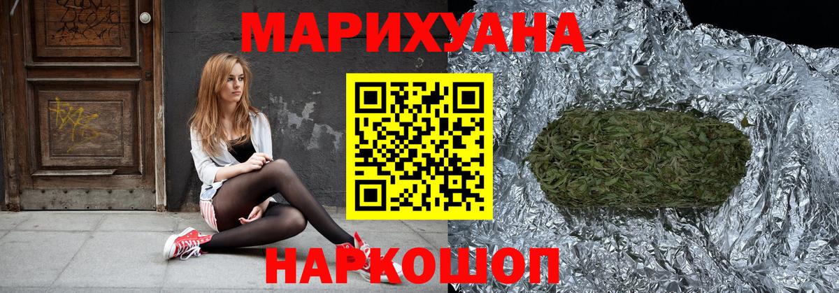 Канабис планчик Зима